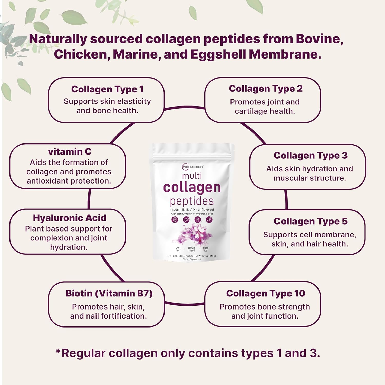 Micro Ingredients Multi Collagen Peptides Powder, 40 Stick Packs | Type I, II, III, V, X + Biotin, Vitamin C & Hyaluronic Acid | Unflavored | Supports Hair, Skin & Joint Health | Keto, Non-GMO