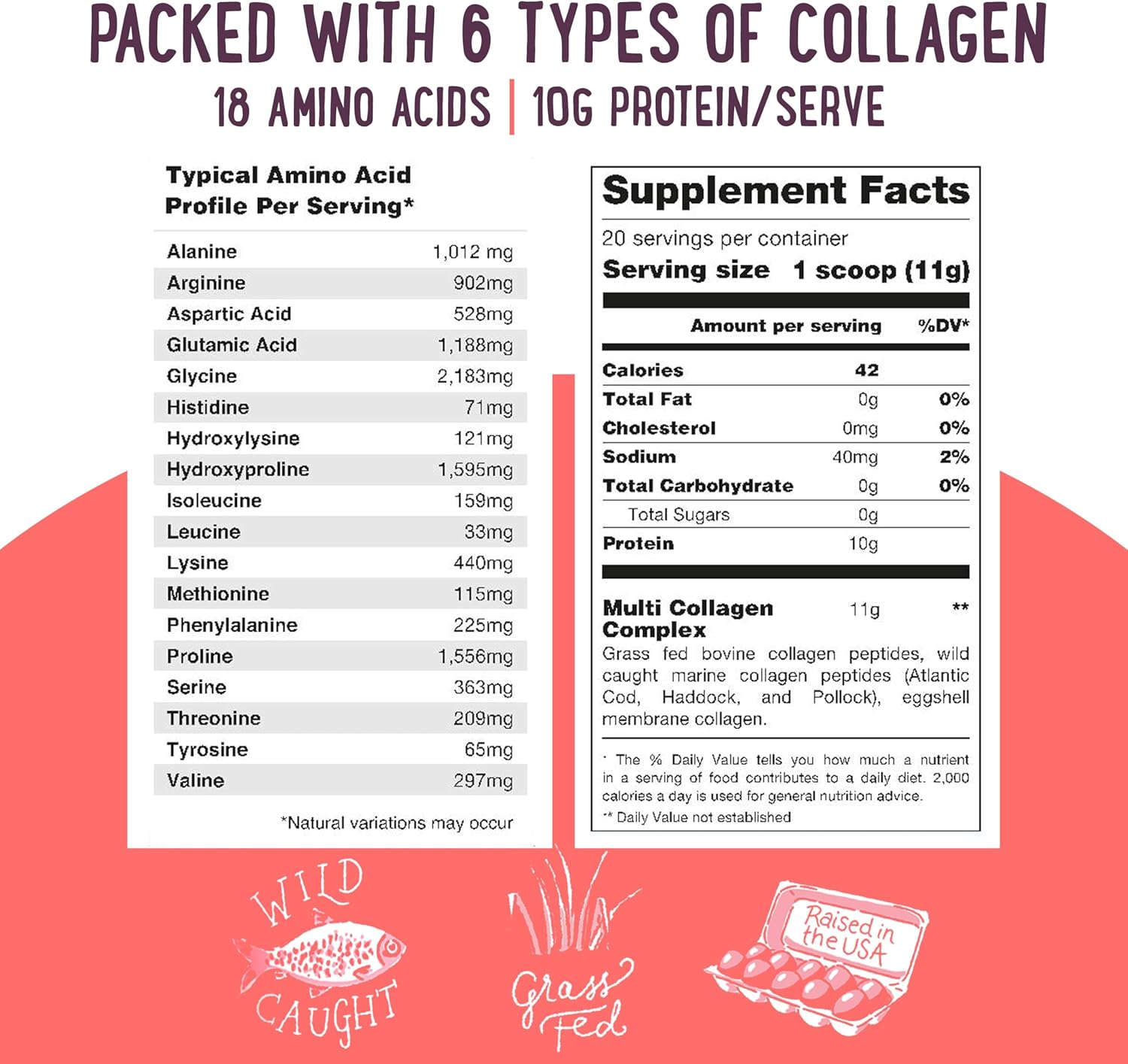 Multi Collagen Protein Powder Type 1, 2, 3, 4, 5, 10 - Unflavored & Hydrolyzed - Pure Collagen Peptides Powder - Grass Fed Beef, Wild Fish Marine & USA Eggshell - 20 Servings