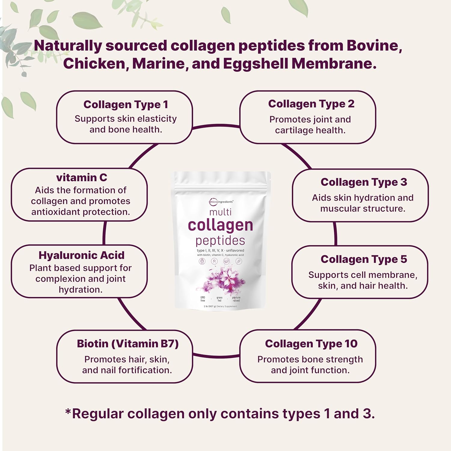 Micro Ingredients Multi Collagen Peptides Powder, 2lb | Type I, II, III, V, X + Biotin, Vitamin C & Hyaluronic Acid | Unflavored | Supports Hair, Skin & Joint Health | Keto, Non-GMO