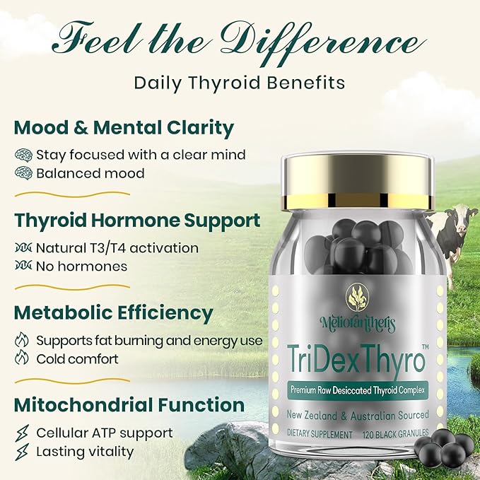 Thyroid Supplement – TriDexThyro™ Raw Desiccated Thyroid Complex 375 mg with Bovine, Porcine & Ovine –120 Capsules for Women and Men（1 Pack）