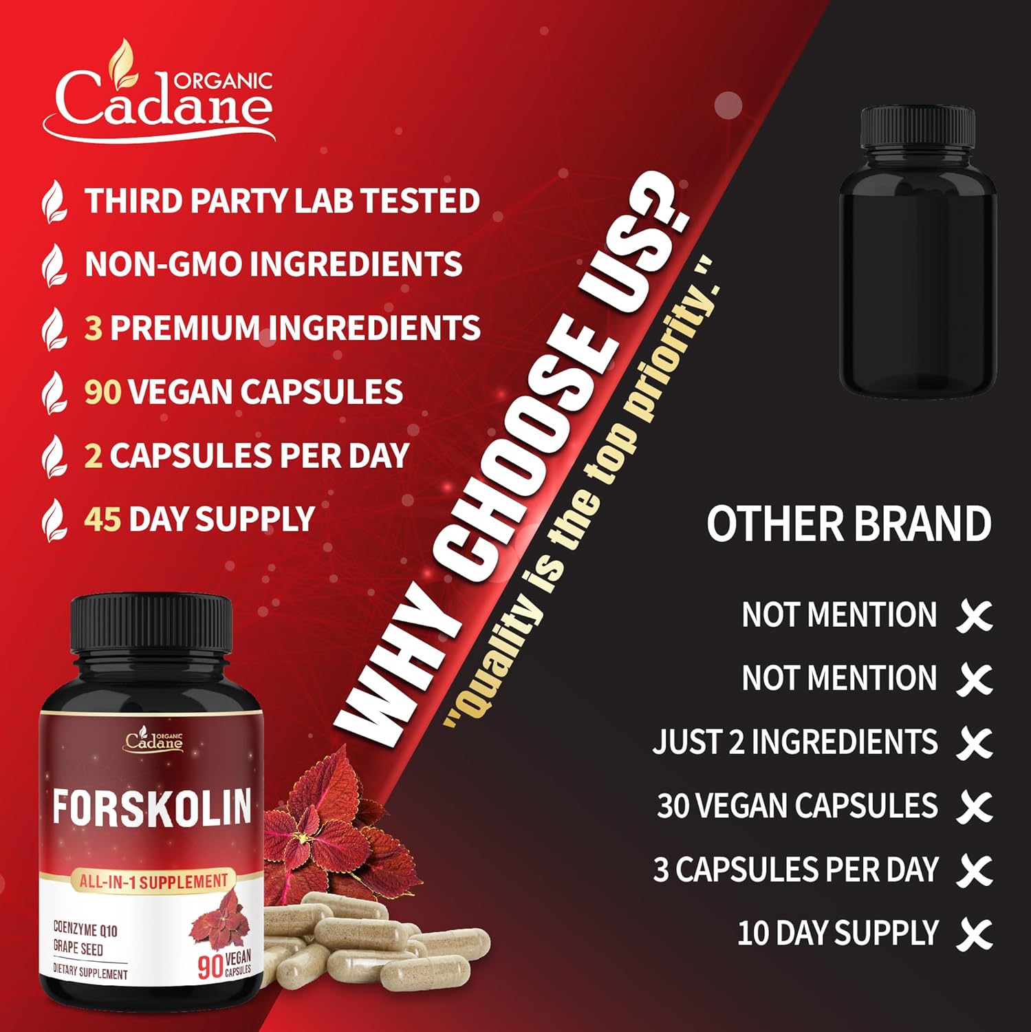Organic Cadane Forskolin Supplement with Coenzyme Q10 & Grape Seed Extract | Supports Body Management & Energy | Vegan, Non-GMO – 90 Capsules – 45-Day Supply