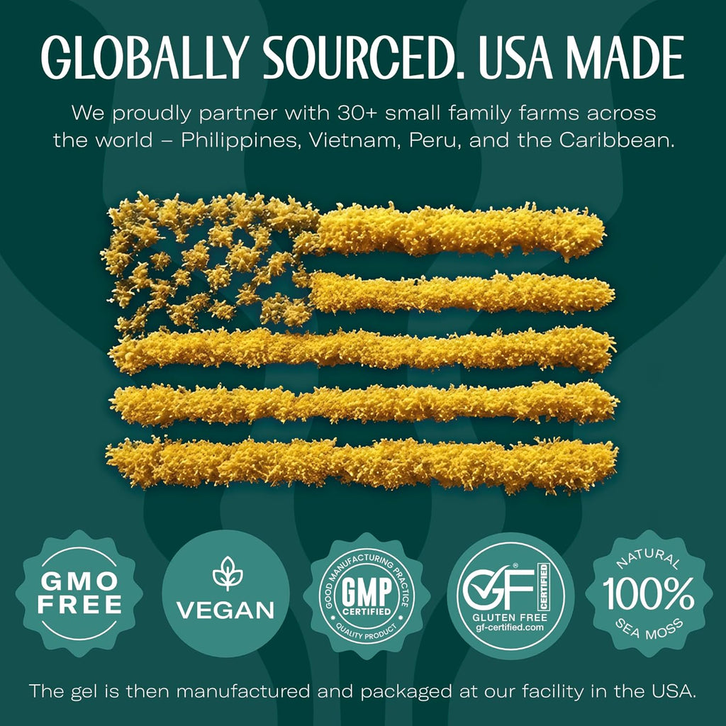 TrueSeaMoss Sea Moss Gel – Made in USA – Wildcrafted Seamoss, Fresh Fruits & Sea Vegetables – Mango/Pineapple, Pack of 3 (Labels may Vary)