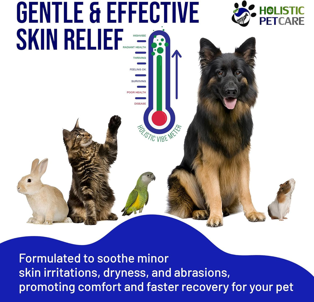 Colloidal Silver Gel – Natural Healing Gel for Pets, Non-Irritating Formula for Skin Irritations, Minor Abrasions, and Dryness, Soothing and Gentle, 8oz Bottle