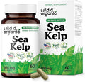 Wild & Organic Sea Kelp Supplement Capsules 600 mg - Immune & Overall Support - Sea Kelp Iodine for Men & Women - Ocean Seaweed Supplement - Vegan, No Fillers, Non-GMO - 60 Count