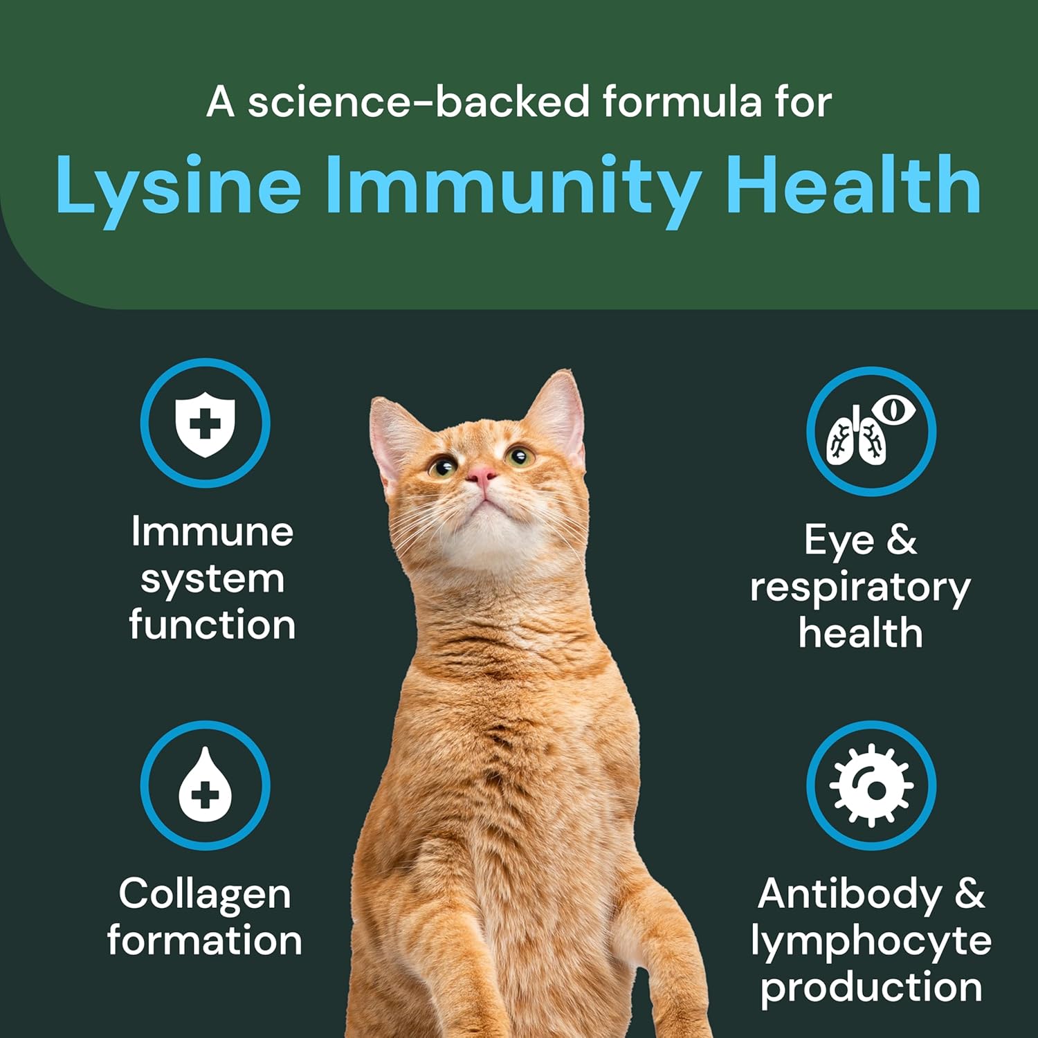 VetriScience Extra Strength Lysine Immunity Health Chews - Immunity Supplement for Cats of All Ages - Supports Immune Function, Eye Health & Cardiovascular Function - 120 Count