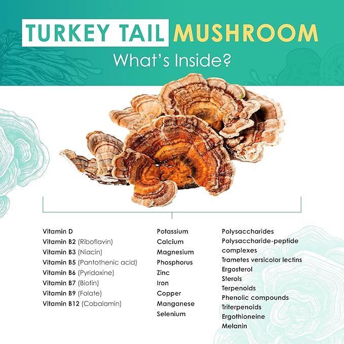 Turkey Tail Mushroom Extract Tablets - 30g Monthly Supply - Dual-Extraction Fruiting Body - 35%+ Beta-glucans + Active Compounds - Hardwood Log Grown - No Fillers or Additives
