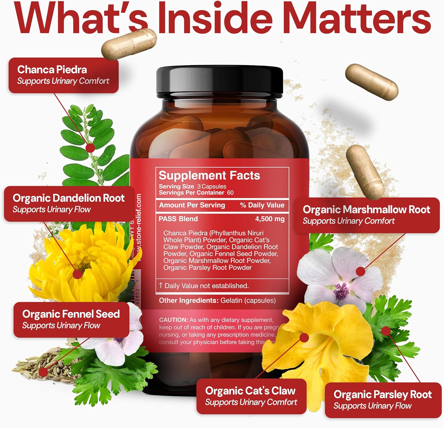 Pass – Daytime Chanca Piedra Stone Breaker Complex - Best Natural Dissolver for Men/Women - Natural Kidney Cleanse & Detox Supplement - 180 Capsules - 4,500mg