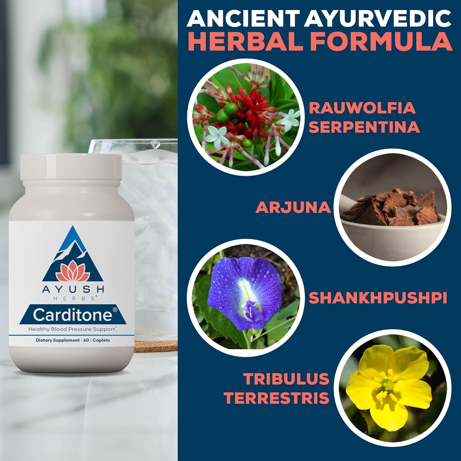Ayush Herbs Carditone - Natural Heart Health Supplement for Women & Men, BP Formula, Holistic Heart Support with Rauwolfia, Arjuna, Calcium, and Magnesium - 60 Vegetarian Caplets (1 Count)