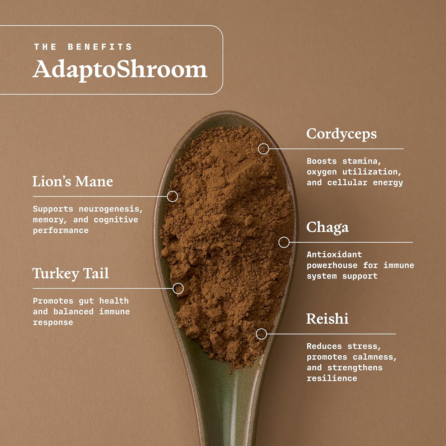 Ultra Life Sport - AdaptoShroom 7 Adpatogenic Mushrooms - USDA Organic Mushroom Supplement - Cordyceps, Lion’s Mane, Chaga, Turkey Tail, Maitake, Shiitake, & Reishi - Immunity Support Adaptogen Drink