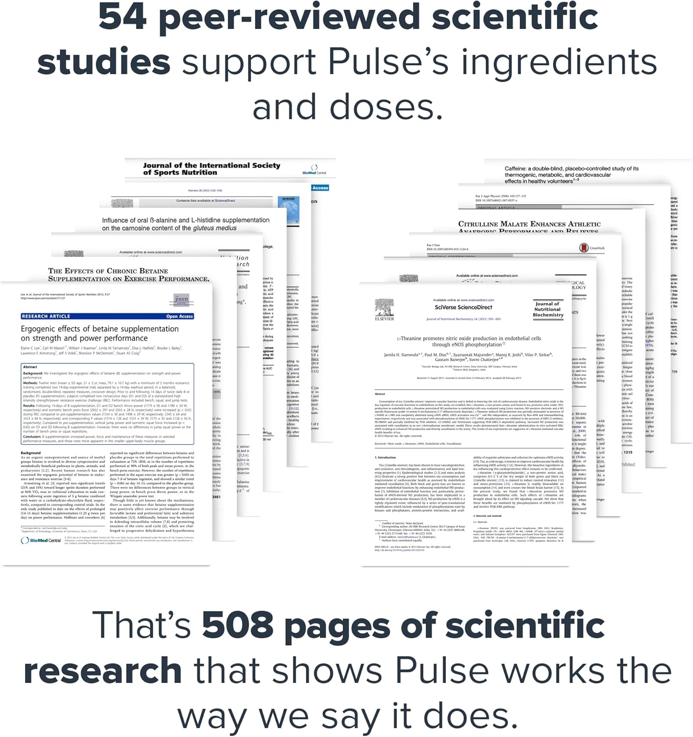 LEGION Pulse Pre Workout - All Natural Nitric Oxide Preworkout Drink to Boost Energy, Creatine Free, Naturally Sweetened, Beta Alanine, Citrulline, Alpha GPC (Tropical Punch)