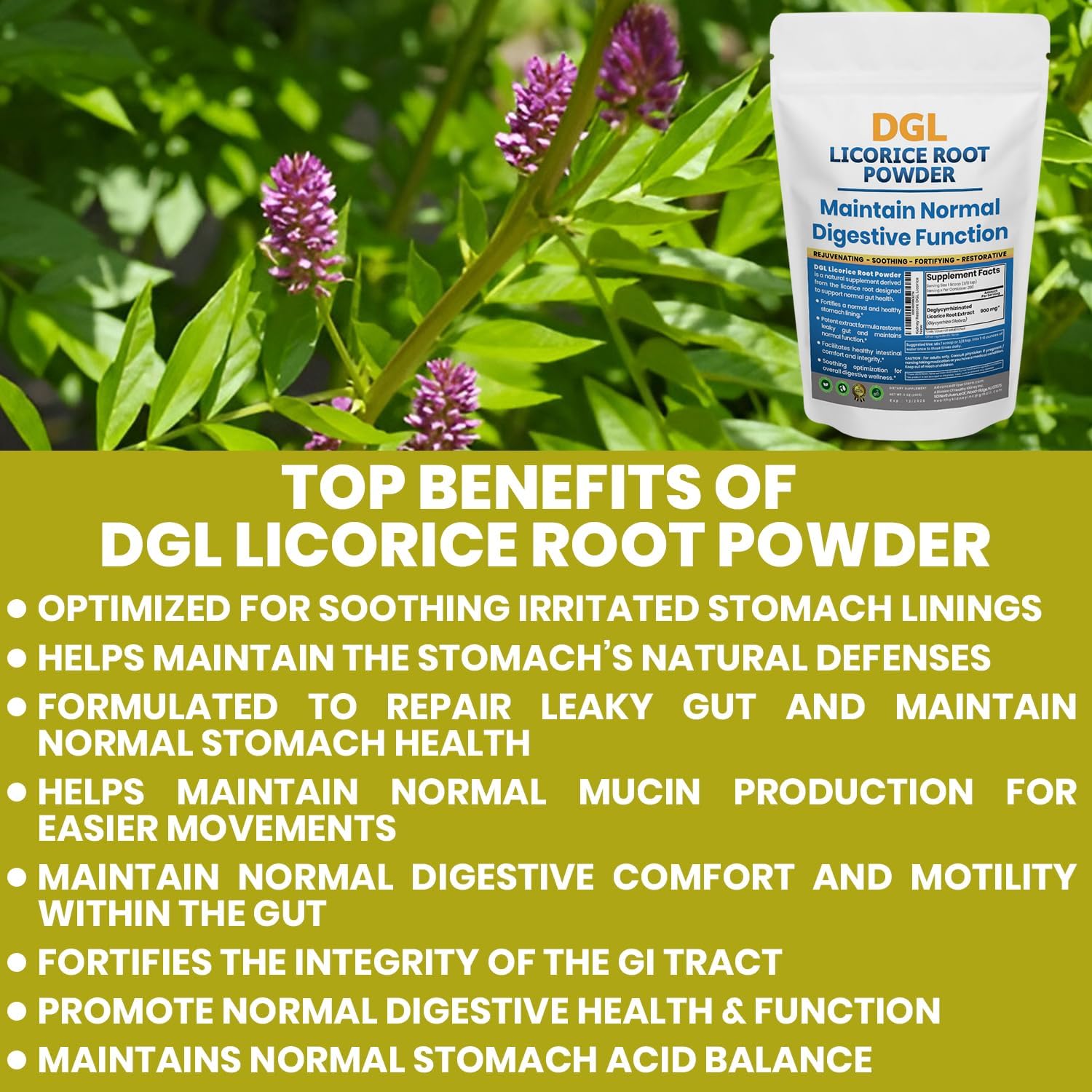DGL Licorice Supplement: Supports Digestive Health, Gut Lining Support, DGL Powder for Wellness, Licorice Root Extract Powder, 140 serv.