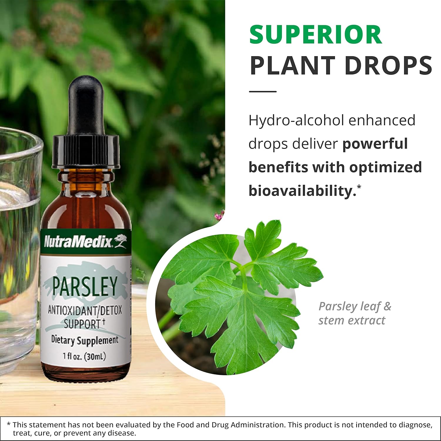 NutraMedix Parsley Herbal Supplement - Parsley Leaf and Stem Extract - Antioxidant Support, Body Detox & Cleanse Support - Liquid Herbal Supplements for Immune Health (1oz / 30ml)