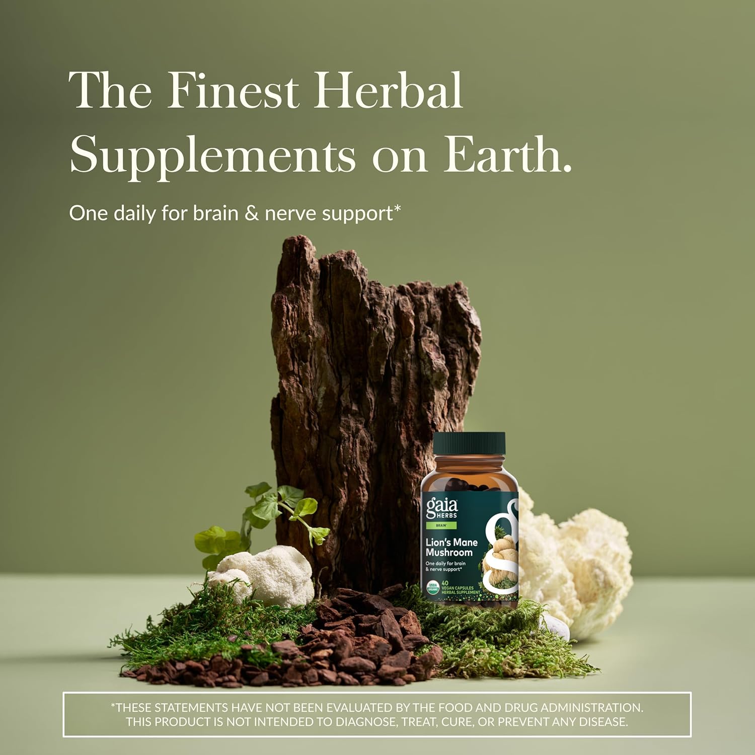 Gaia Herbs Lion’s Mane Mushroom - Brain & Nerve Health Support - 40 Vegan Capsules