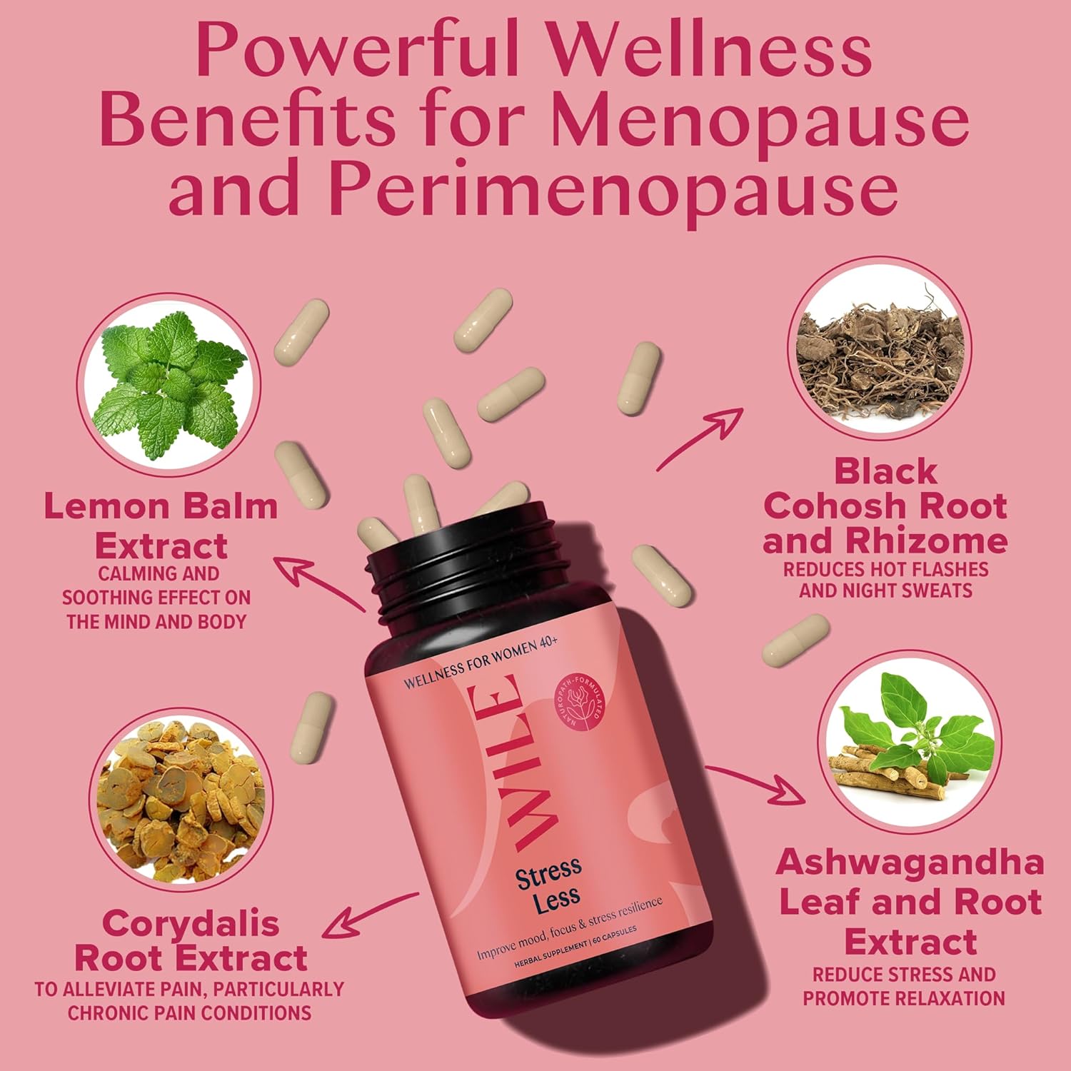 WILE Menopause & Perimenopause Supplements for Women with Ashwagandha - Stress Relief with Black Cohosh - Premenopausal Support for Improved Mood, Sleep, Hormone Balance - Vegan, 30 Servings