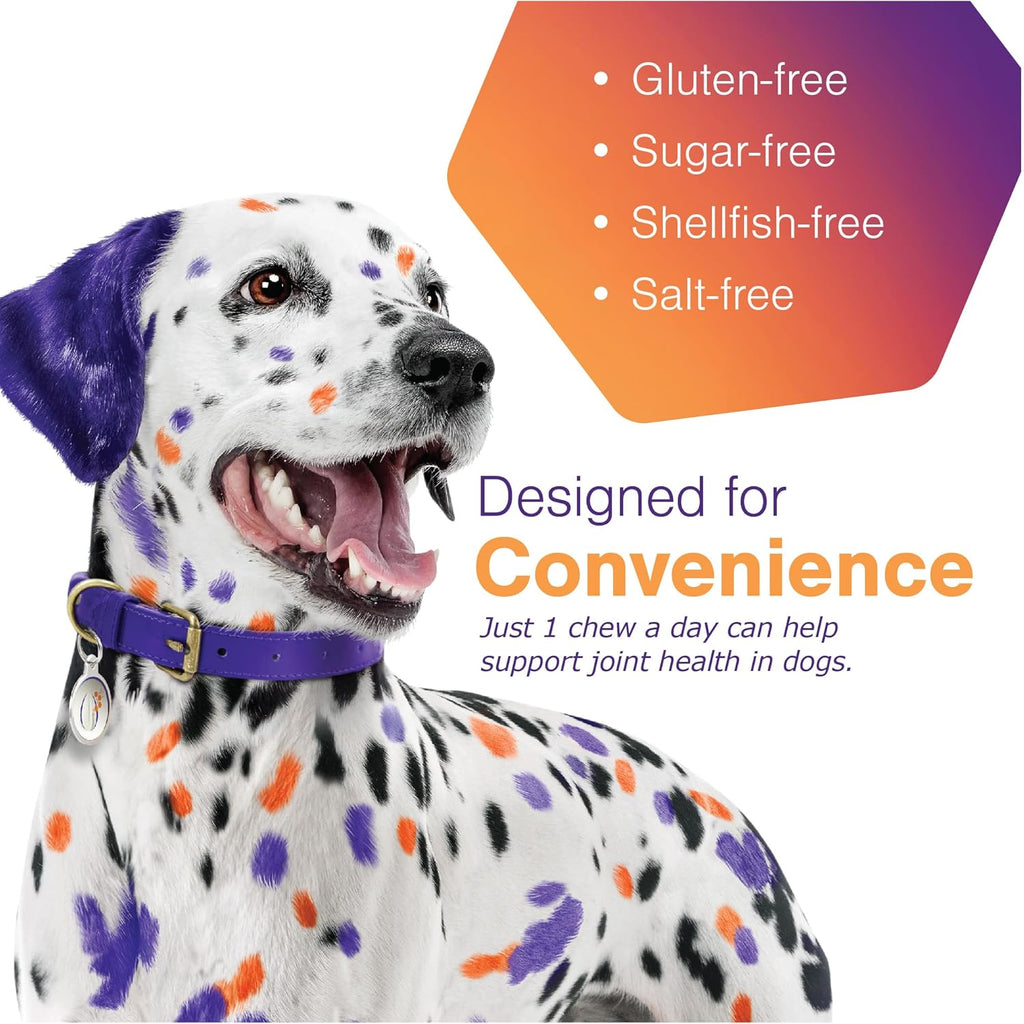 MOVOFLEX Soft Chews Hip and Joint Support Supplement for Small Dogs 60 Count by Virbac