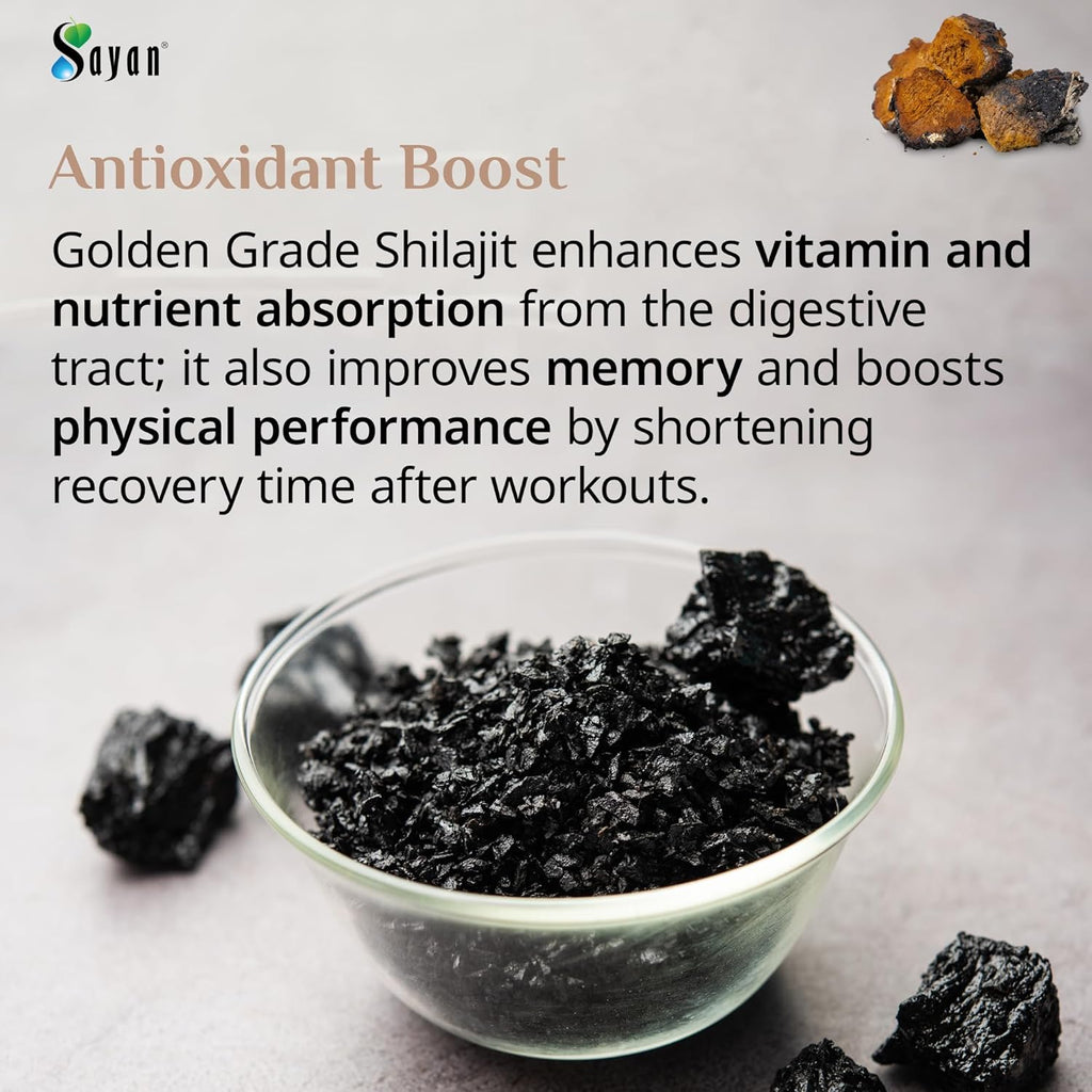 Sayan Siberian Chaga Mushroom Extract with Shilajit Powder (4 oz) – Organic Antioxidant Tea – Immune and Digestion System Support – Fulvic Acid Supplement – Energy & Clarity – No Fillers