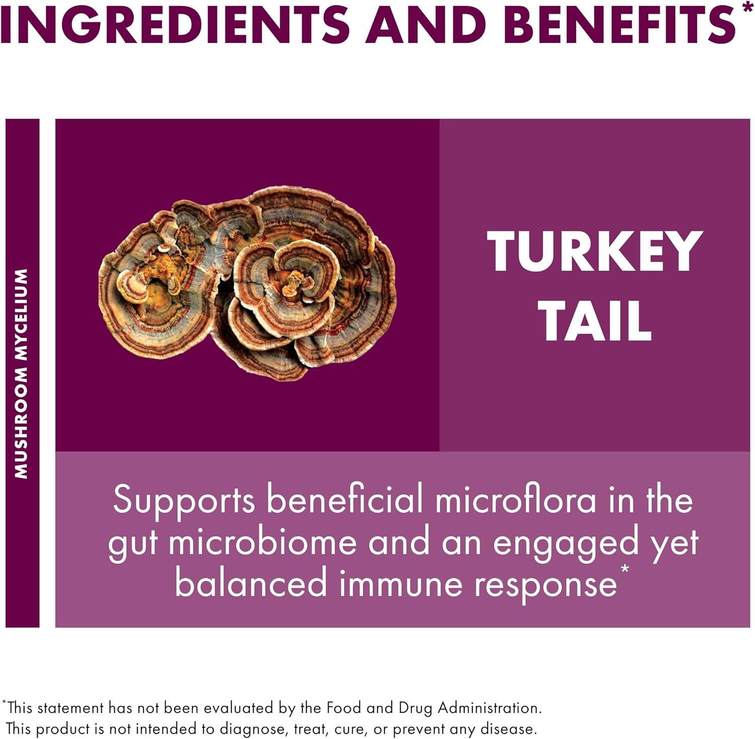 Host Defense Turkey Tail Mushroom Powder - Digestive Health & Immune Response Support Supplement - Mushroom Supplement for Gastrointestinal & Gut Microbiome Support - 3.5 oz (66 Servings)*