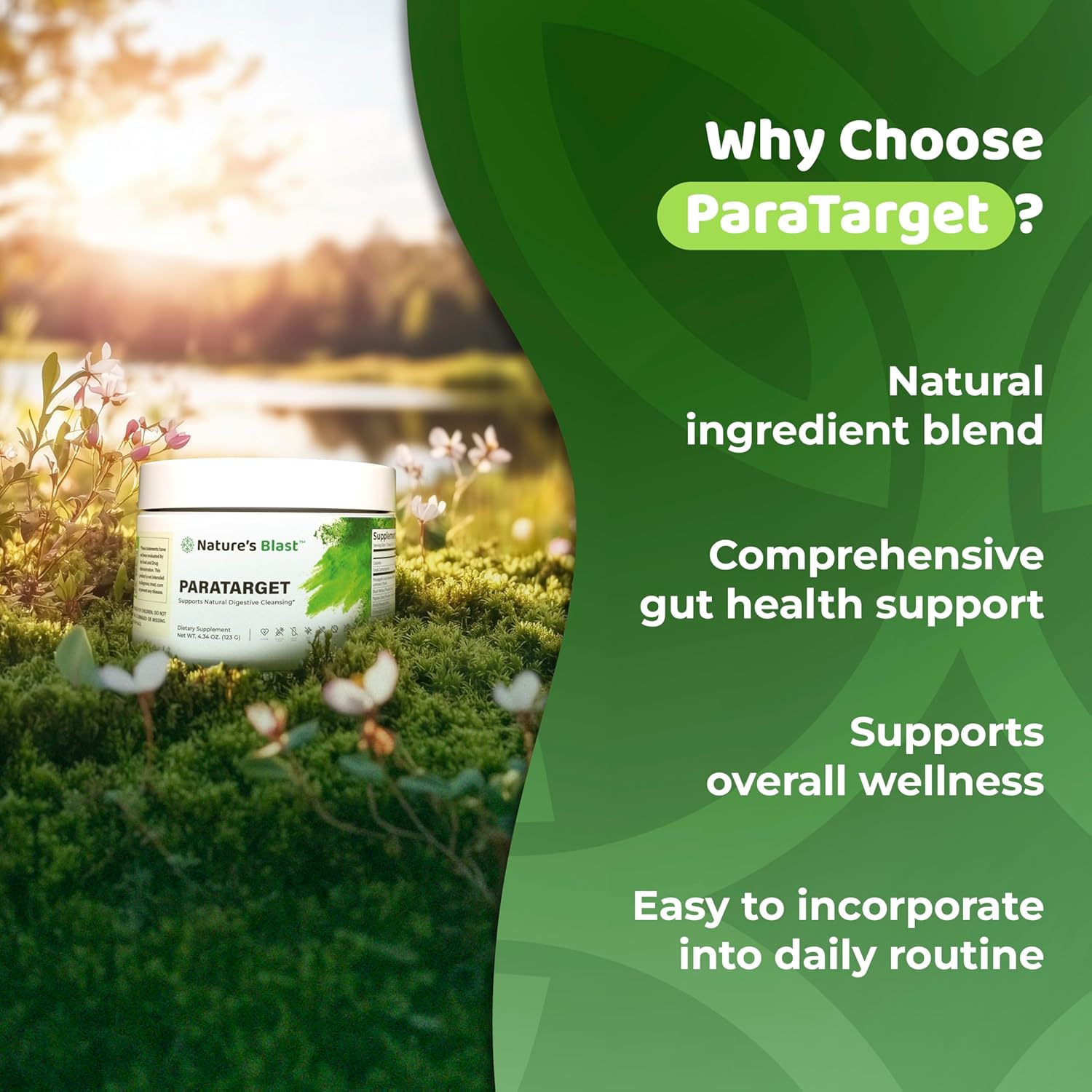 ParaTarget - Gut Health Formula - Intestinal Gut Cleanse Powder Supplement with Black Walnut, Wormwood, Turmeric & More - Natural Wellness Supplements for Women & Men - 30 Servings