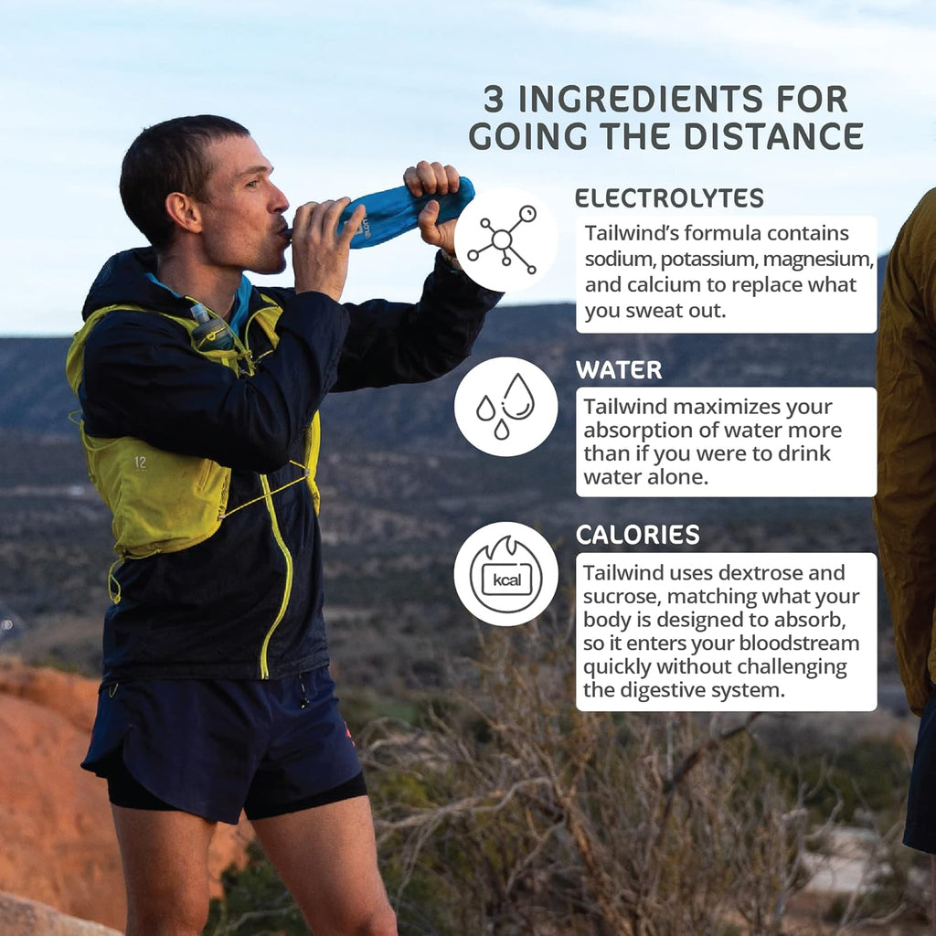 Tailwind Nutrition Endurance Fuel, Sports Drink Powder Single Serving with Electrolytes, Non-GMO, Free of Soy, Dairy, and Gluten, Vegan-Friendly, Naked Unflavored, Pack of 12