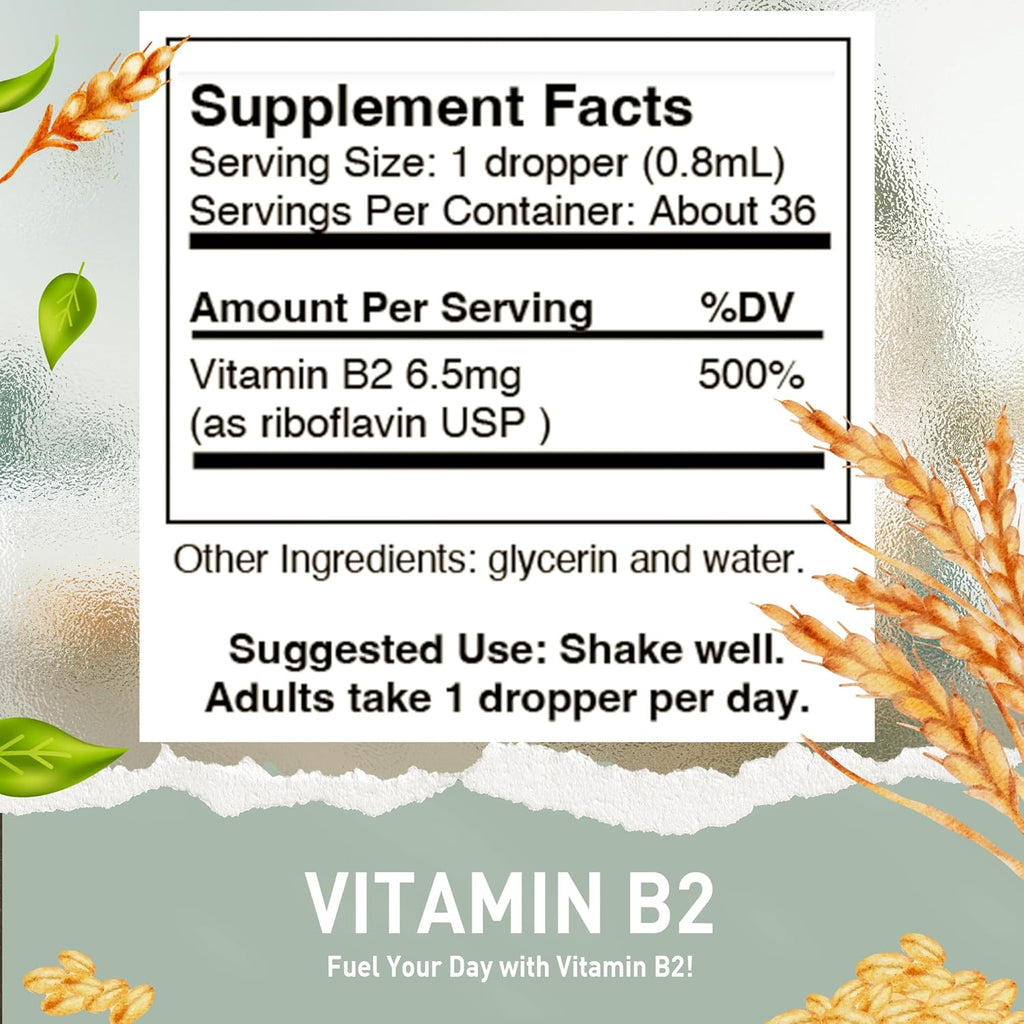 HoneyCombs Vitamin B2 Riboflavin Supplement Liquid Drops - High Potency Vitamin B2 for Men & Women - Maintain Healthy Digestion, Nervous System, Hair, Skin, Nails - Vegan Liquid Vitamins (1 Fl oz)