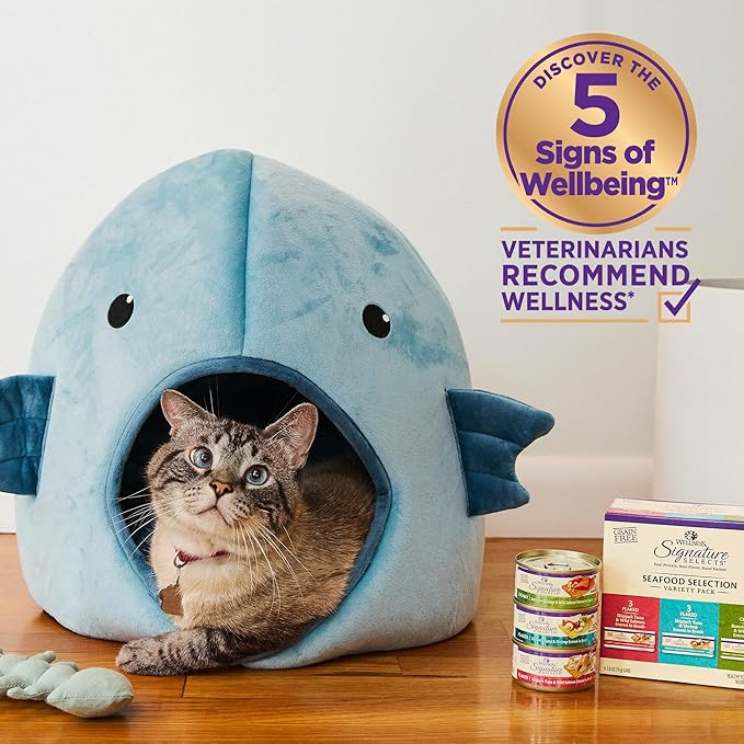 Wellness CORE Signature Selects Chunky Adult Wet Cat Food, Natural, Protein-Rich, Grain Free, 5.3 Ounce, 12 Pack (Beef & Chicken)