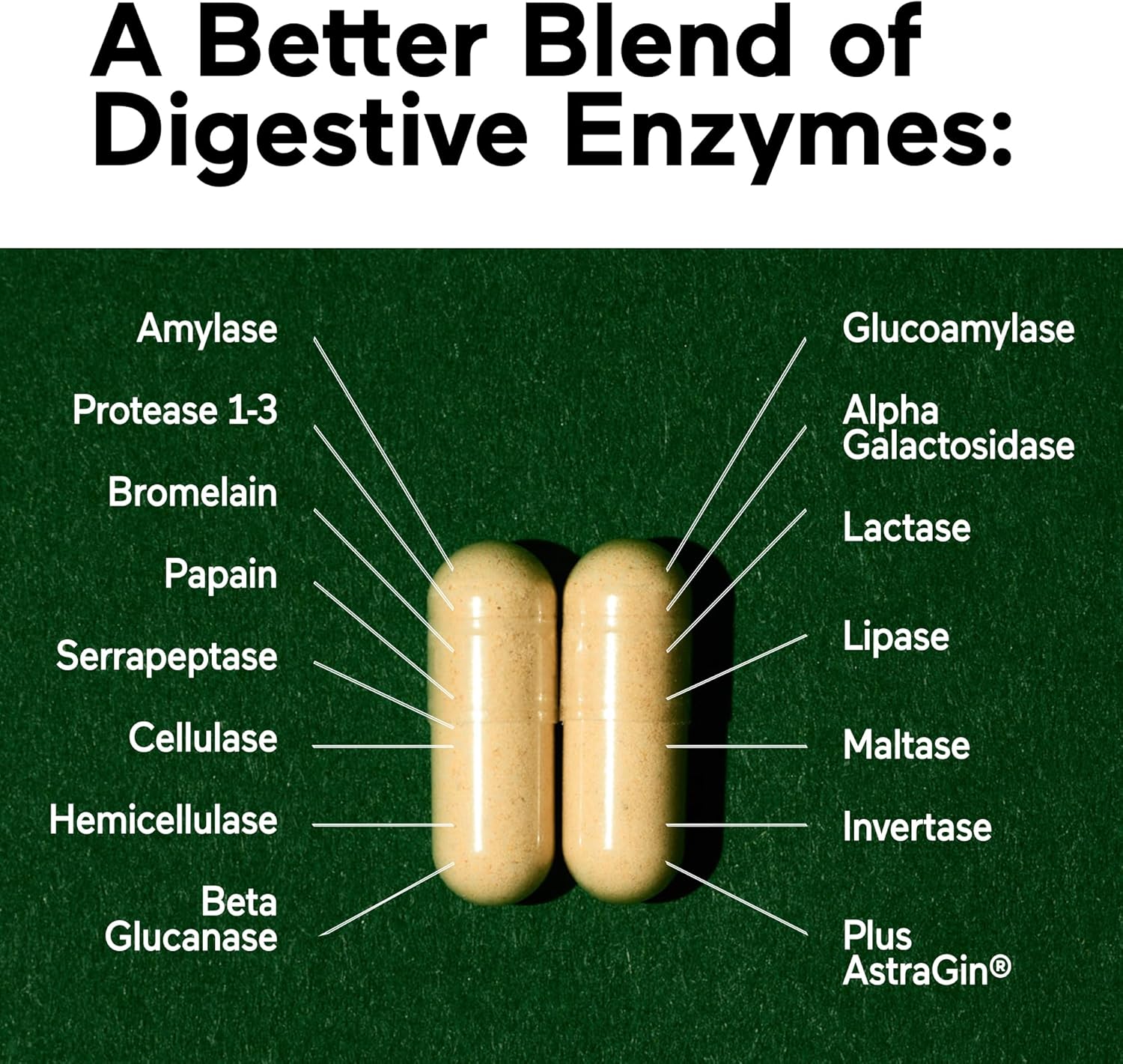 Smarter Nutrition Vegan Digestive Enzymes - Digestion Bloating & Gut Health Support with 16 Multi Enzymes for Nutrient Absorption & Meal Time Comfort for Both Men & Women - 540 Count[180-Day Supply]