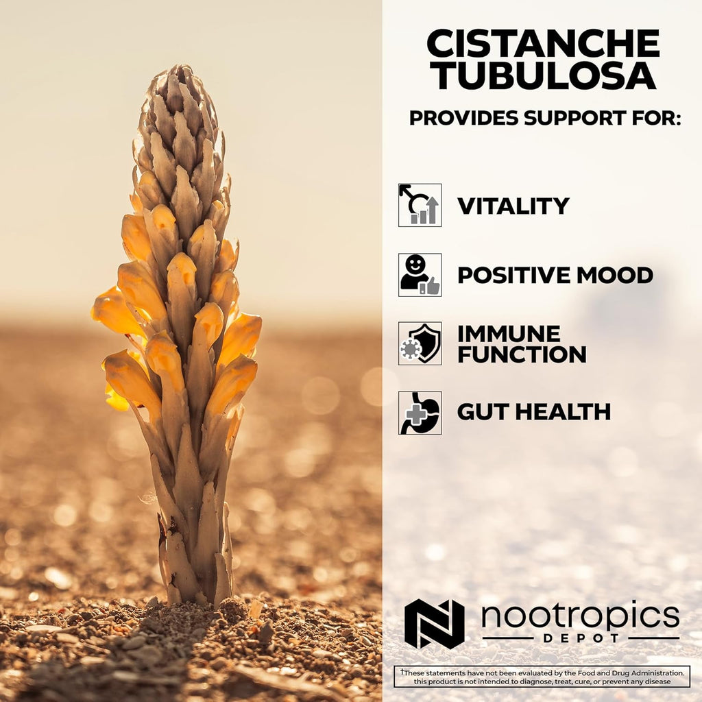 Nootropics Depot Cistanche tubulosa Tablets | 200mg | 180 Count | Minimum 50% Echinacoside + 10% Acetoside (Verbascoside) | Promotes Physical Strength and Energy | Promotes Vitality