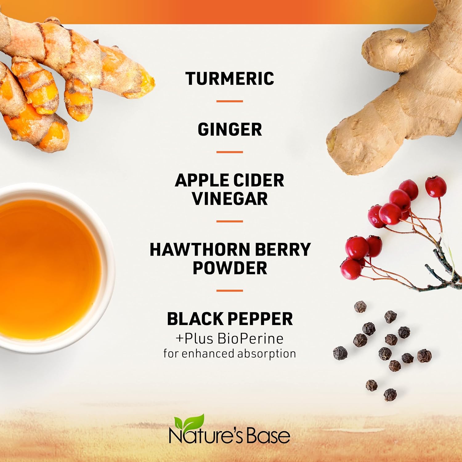 Nature's Base Turmeric and Ginger Supplement - with Curcumin, Apple Cider Vinegar & BioPerine Black Pepper Extract - 95% Curcuminoids - 60 Capsules
