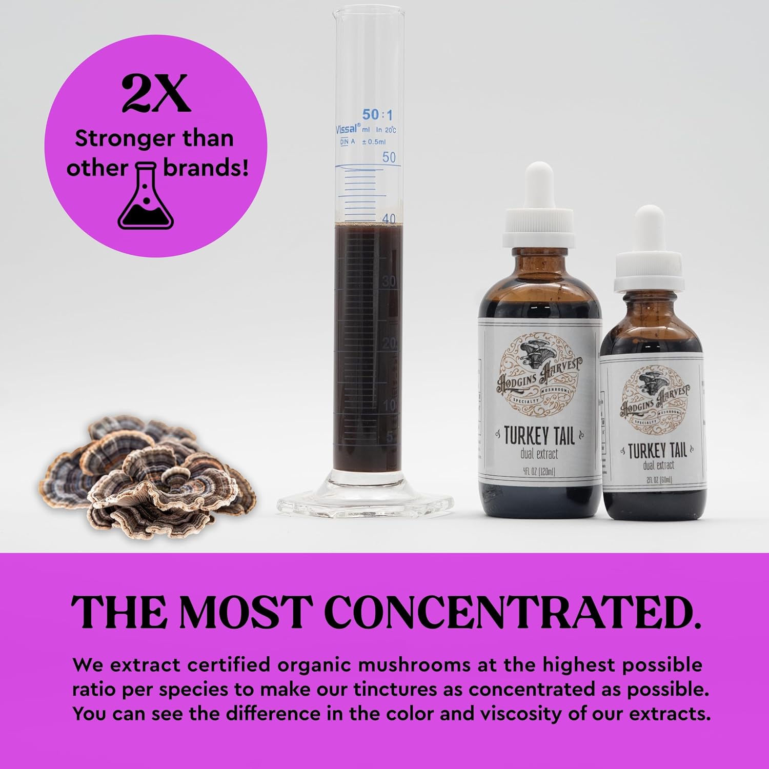 Hodgins Harvest Organic Turkey Tail Tincture | Made with Mushrooms Grown On Our Farm in The USA | Dual Extract | Extra-Concentrated (4 fl oz)