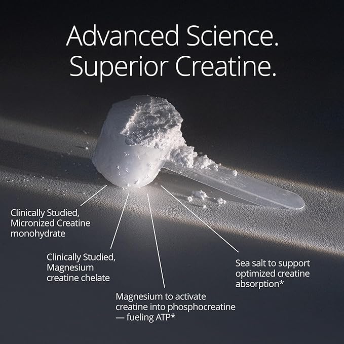 Qualia Creatine | Advanced Creatine Complex | 2 Creatine Sources + Magnesium | Optimized Creatine Absorption | Muscle Performance, Brain Function, & Healthy Aging
