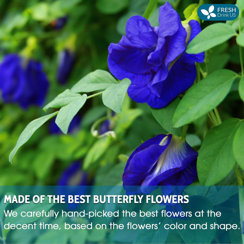 FreshDrinkUS, Premium 16oz Blue Butterfly Pea Flowers Dried – Premium Whole Flower Herbal Tea – Vibrant Blue Natural Color – Caffeine-Free Loose Flower Tea. Vegan