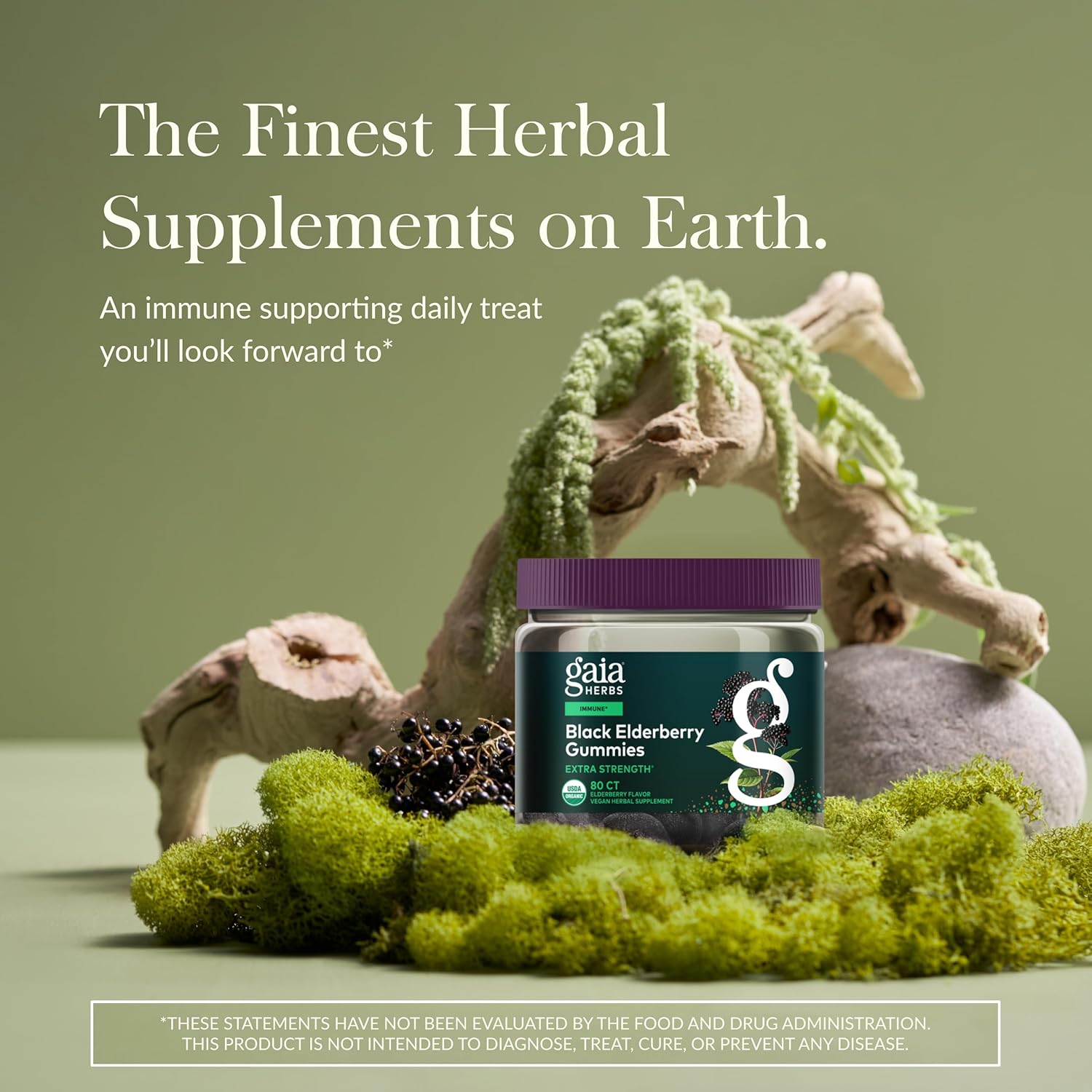 Gaia Herbs Black Elderberry (Sambucus Nigra) Extra Strength Gummies - Delicious Immune Support Supplement - Made with Certified Organic Black Elderberries for Immune System Support - 80 Gummies