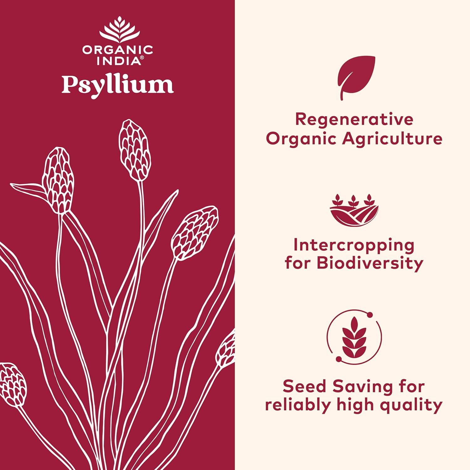 ORGANIC INDIA Whole Psyllium Husk Powder Organic - Psyllium Husk Fiber Supplement, Digestion Support, Vegan, Gluten-Free, Non-GMO, Soluble & Insoluble Fiber Source - 12 oz (Pack of 1)