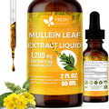 FRESHDRINKUS, 2 fl oz (60ml) Mullein Drops for Lungs Cleanse Support, Mullein Extract Liquid, 1200mg per Serving, 60 Days Supply – 100% from Natural Mullein Leaves, Non-GMO, Gluten-Free (2 fl oz)