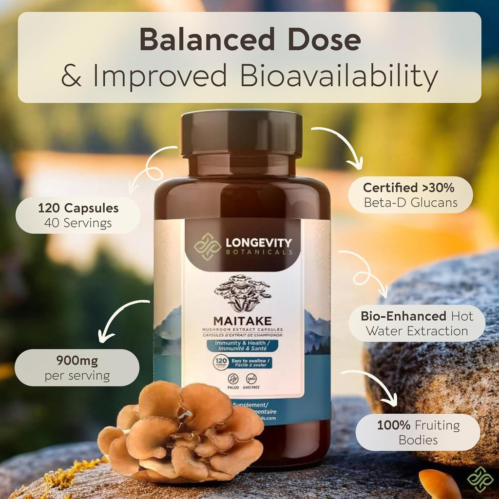 Longevity Botanicals Organic Maitake Mushroom Extract Capsules (120) | Concentrated 10:1 Ratio | 100% Fruiting Bodies | Grifola frondosa Natural Supplement for Gut Health & Immunity Support