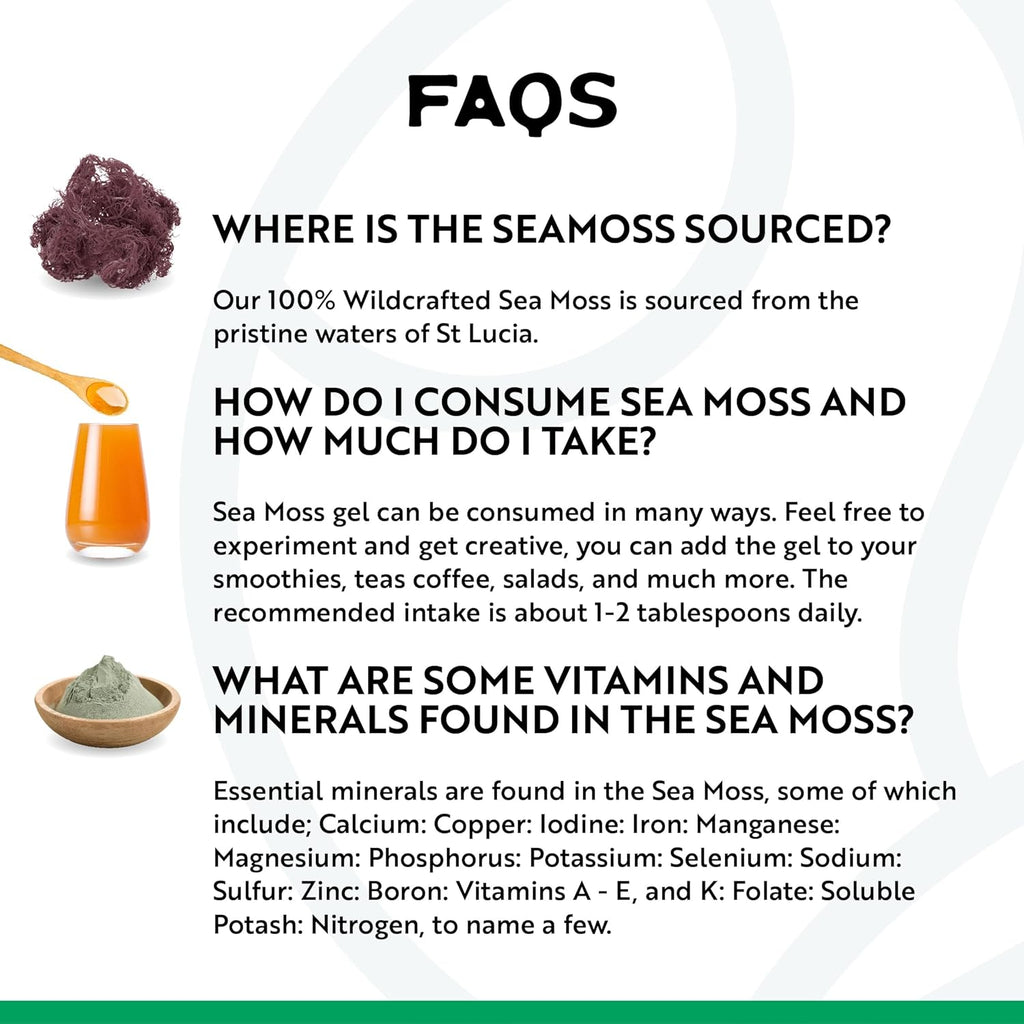 Herbal Vineyards Wildcrafted Irish Purple Sea Moss Gel 16 Oz - Organic Seamoss Gel Made with Dried Seaweed & Fresh Sea Vegetables, Natural & Plant-Based, Harvested in Pristine Waters, USA