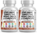 Clean Nutraceuticals Lions Mane 20in1 Mushroom Supplement with Turkey Tail Reishi Cordyceps Chaga Maitake Meshima Poria Cocos Shiitake Oyster Porcini Enoki - 2Pack