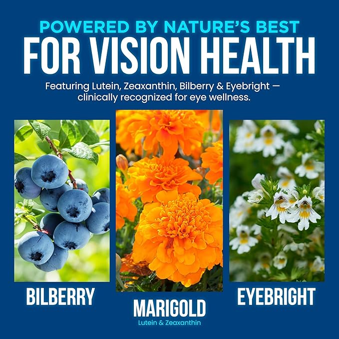Vision Clarity Eye Vitamins – AREDS2 Inspired Formula with Lutein & Zeaxanthin, Bilberry, Eyebright & Vegan Omega-3 – Macular, Retina & Blue Light Support – for Adults – 2 per Day – 60 Vegan Capsules