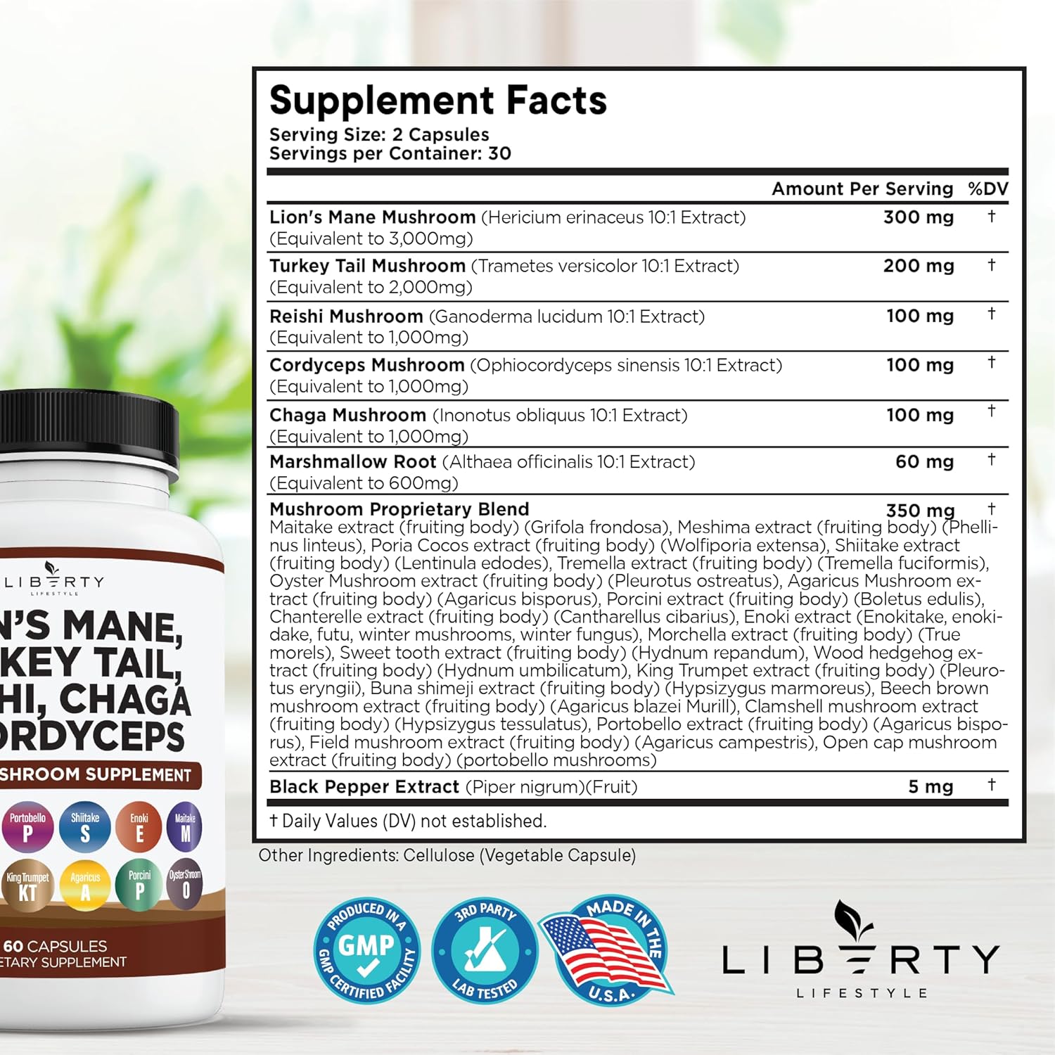 Lions Mane Mushroom Supplement with Turkey Tail Reishi Cordyceps Chaga with Marshmallow Root - 2-Pack