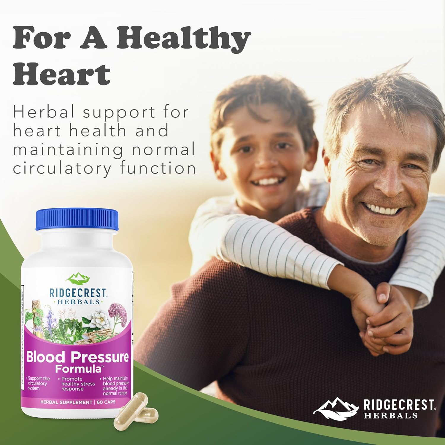 RidgeCrest Herbals Blood Pressure Herbal Formula, 12 Herbs, Poria Mushroom, Gastrodia, Gardenia, for Heart, Vascular, Circulation Health (60 Count (Pack of 1))