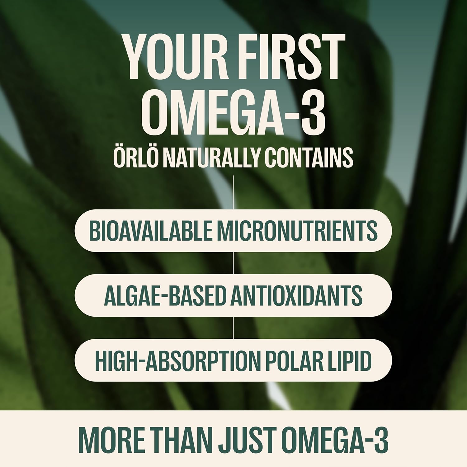Orlo PRENATAL DHA - Prenatal DHA Omega 3 Supplement - Triple Strength Omega3s - Vegan DHA & EPA - Algae Omega-3 Oil - Supports Brain Development During Pregnancy & Lactation (60 Mini Softgels)