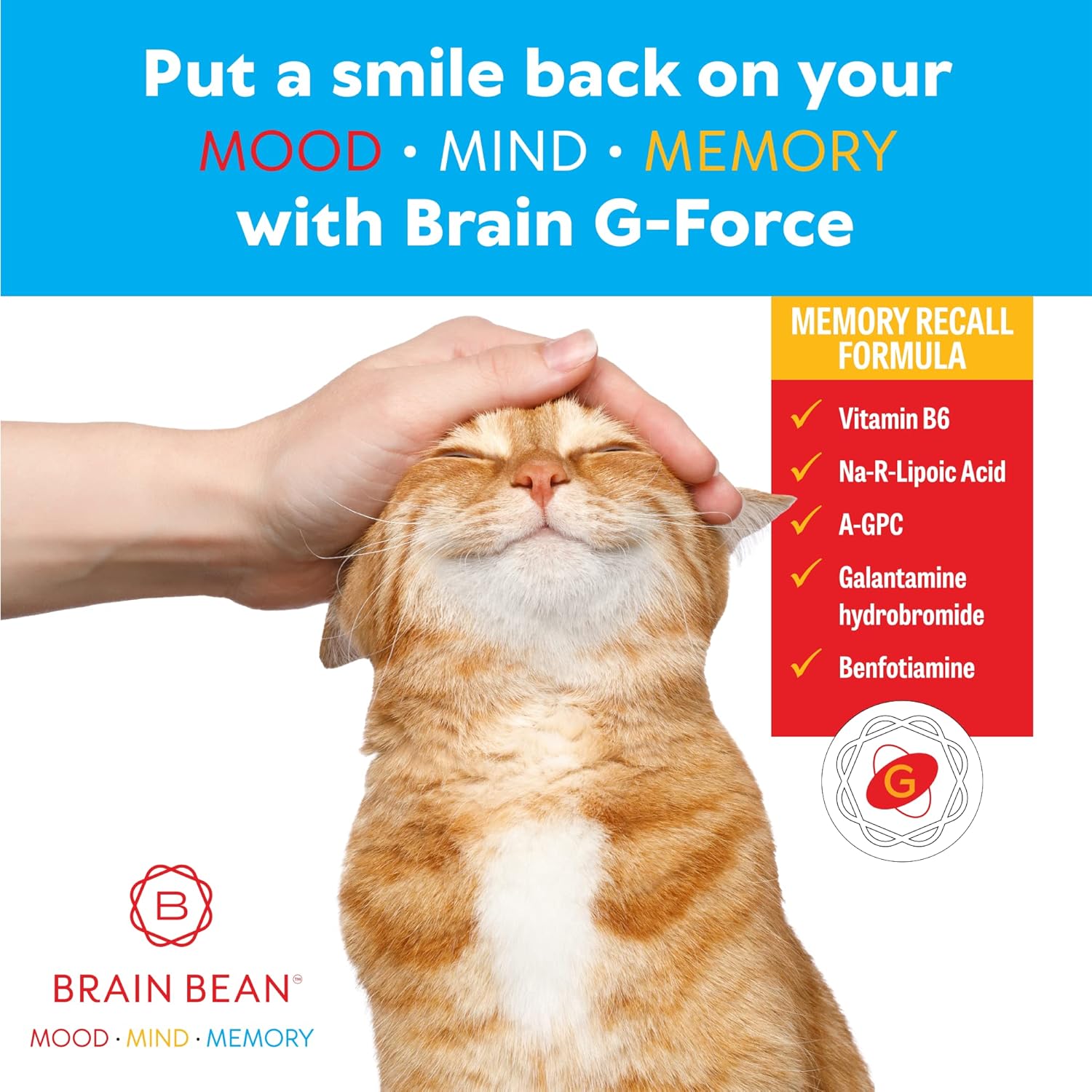 Brain G-Force | for Optimal Brain Function | with Galantamine, R-Lipoic Acid, A-GPC, and Benfotiamine | 45 Servings