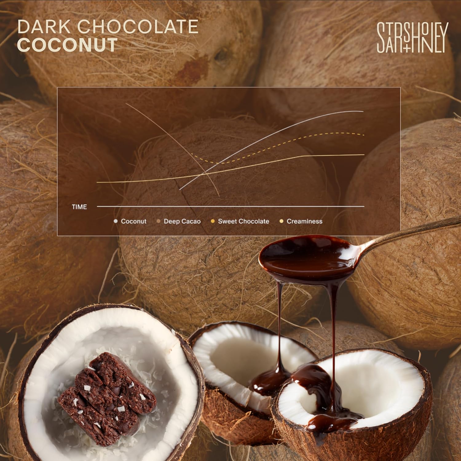 Stars + Honey Protein Bars - Dark Chocolate Coconut, 14g Protein, 1g Sugar, w/Collagen Keto Friendly Snack - Gluten, Dairy, Seed Oil, & Soy Free - High-Protein Snacks for Energy & Recovery -10 pack