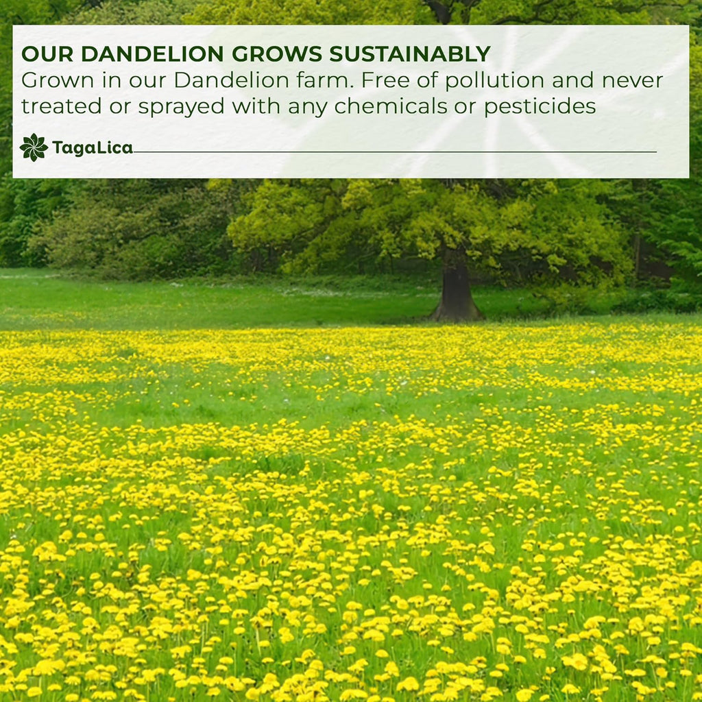 Tagalica Premium Dandelion Root Tea Bags - 25 Count, 100% Natural & Pure, Eco-Conscious, Herbal Tea, No Sugar, No Caffeine, No Gluten, Vegan