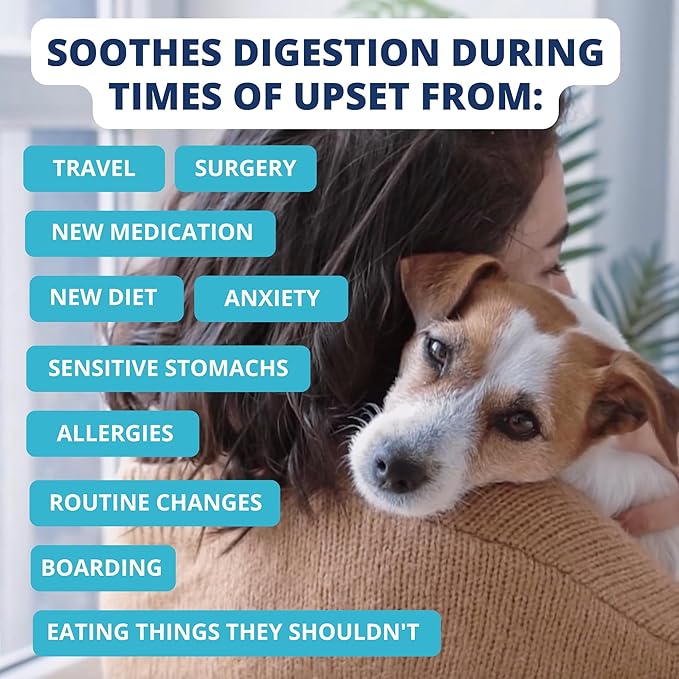 Under the Weather Bland Diet for Dogs | Easy to Digest for Sick Dogs | Always Be Ready | Contains Electrolytes - All Natural Freeze Dried 100% Human Grade Meats | 6 Pack - Chicken, Rice - 6oz
