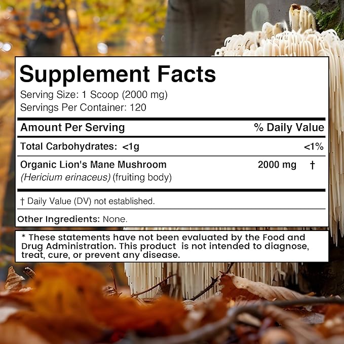 WELLNESS LABSRX Lions Mane Powder, Mushroom Supplement - 2000mg - Lions Mane Supplement - Lion's Mane Mushroom Powder Brain Supplements for Memory and Focus, Immune Support and Health - 120 Servings