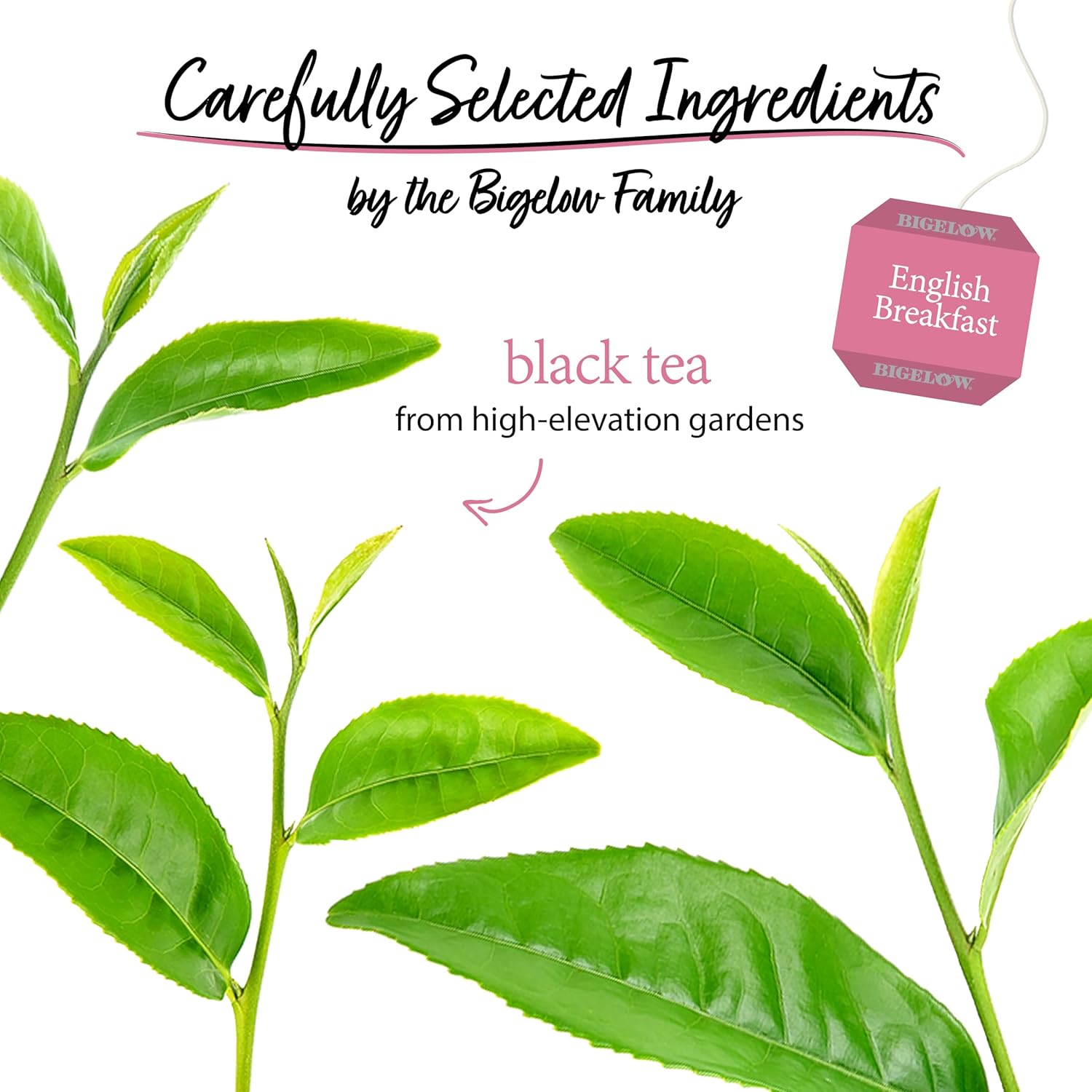 Bigelow Tea English Breakfast Caffeinated Black Tea, 20 Count, Pack of 6