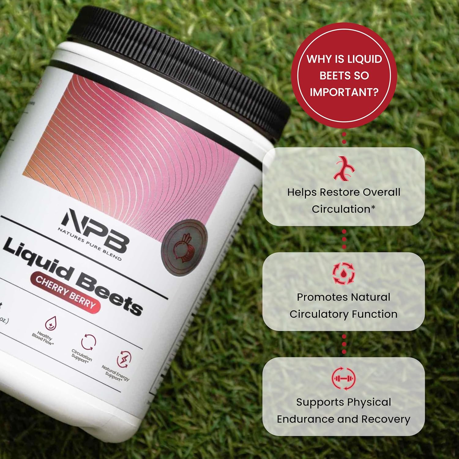 Nature's Pure Blend Organic Beet Root Powder – Nitric Oxide Booster L-Arginine – Liquid Beets for Blood Flow Circulation & Energy – Pre-Workout Endurance Support – 8,000 MG