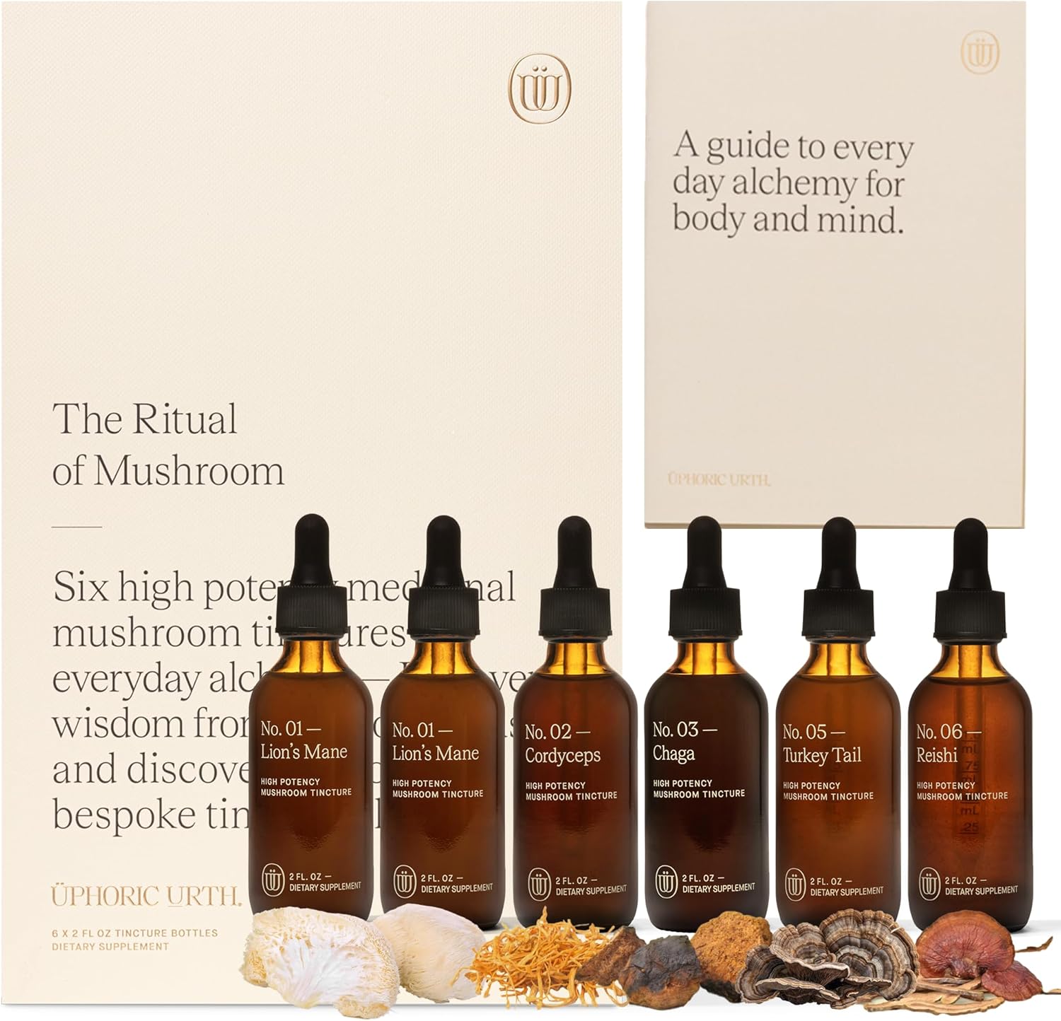 Mushroom Extract Tincture (Ritual of Mushroom)