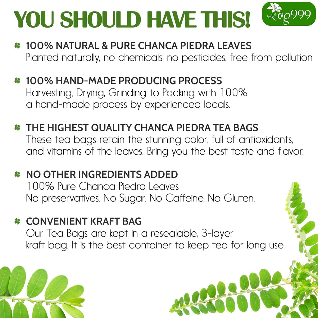 TOG999, Premium 120 Chanca Piedra Leaf Tea Bags, 100% Natural & Pure from Chanca Piedra Leaves. Loose Leaf Chanca Piedra Herbal Tea. Made with Natural Material Tea Bags. No Sugar, No Caffeine, No Gluten, Vegan.
